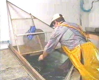 PESCA 48  GANADO